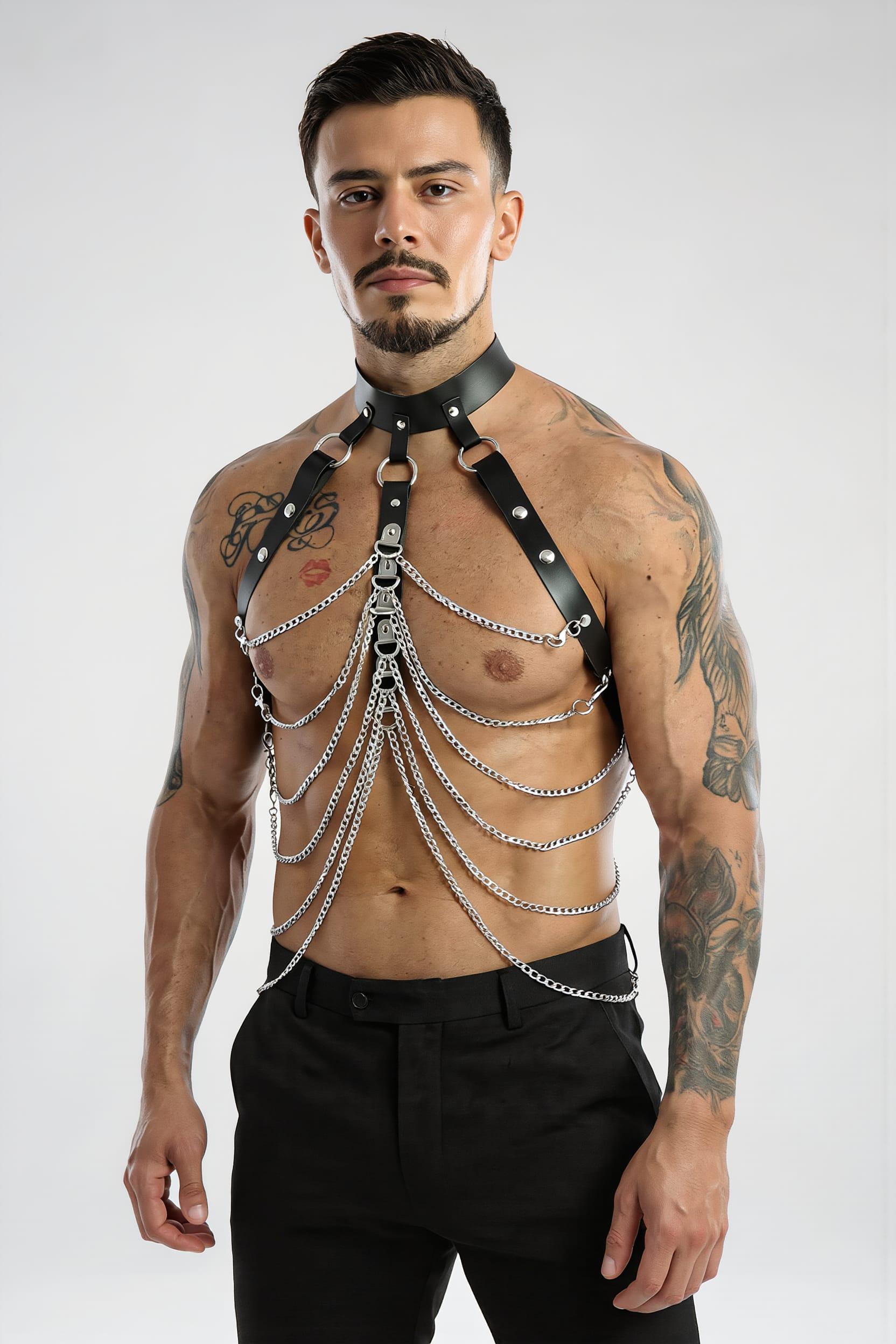 502-Harness-2