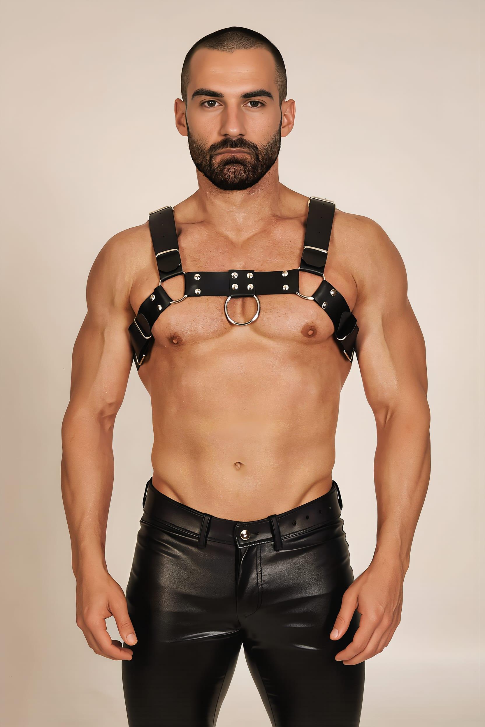 504-harness-5