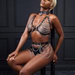 New Dreams Metal Zincir Fantazi Harness Takım Ayarlanabilir Gövde Zinciri, Suni Deri Detaylı Erotik Aksesuar